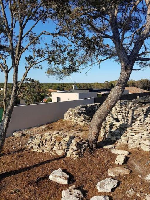 Villa Neuve Avec Piscine Bonifacio  Eksteriør bilde